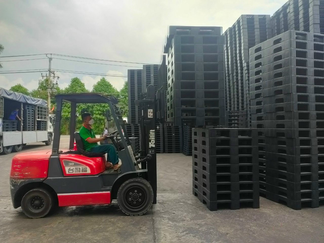 Ứng Dụng Của Pallet Nhựa Trong Vận Tải Logistics Và Lợi Ích Cho Doanh Nghiệp 31 Pallet nhựa Mai Trâm - Đơn vị cung cấp Pallet nhựa uy tín chất lượng